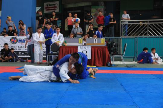 IMG 4241