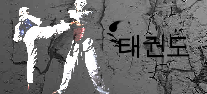 Taekwondo ; Tues / Thurs 5.00 -6.30 pm 